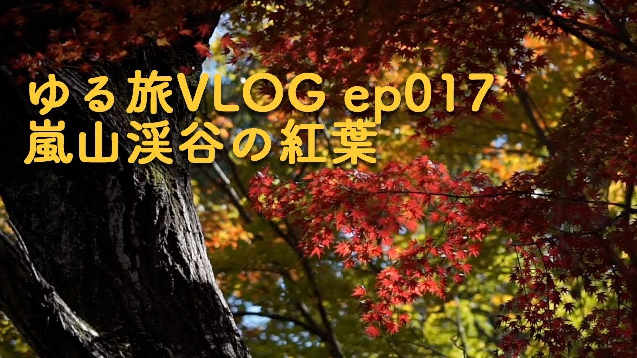 ゆる旅vlog 嵐山渓谷の紅葉 Slow Trip Vlog Episode 017 Youtube