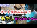 ネット民による【もやし買い占め祭り】について歌解説