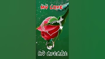 J#letter name art status video new #trending #love WhatsApp status video #hindisong