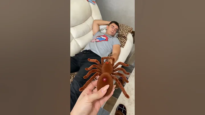Spider on my husband 🤣 #shorts
