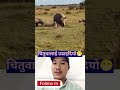 च त व ल ई उड य Funny Updeledkepreprationkasekre Comedy च त व ल ई उड य Funny Updeledkepreprationkasekre Comedy