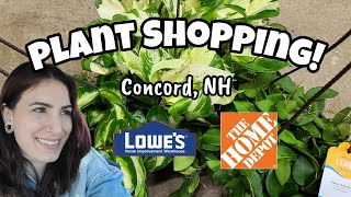 HUGE HANGING BASKETS!! 🌿 Plant Shopping at Home Depot & Lowe's in Concord, NH ✨️