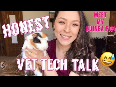 the-truth-about-being-a-vet-tech-|-honest-vet-tech-talk