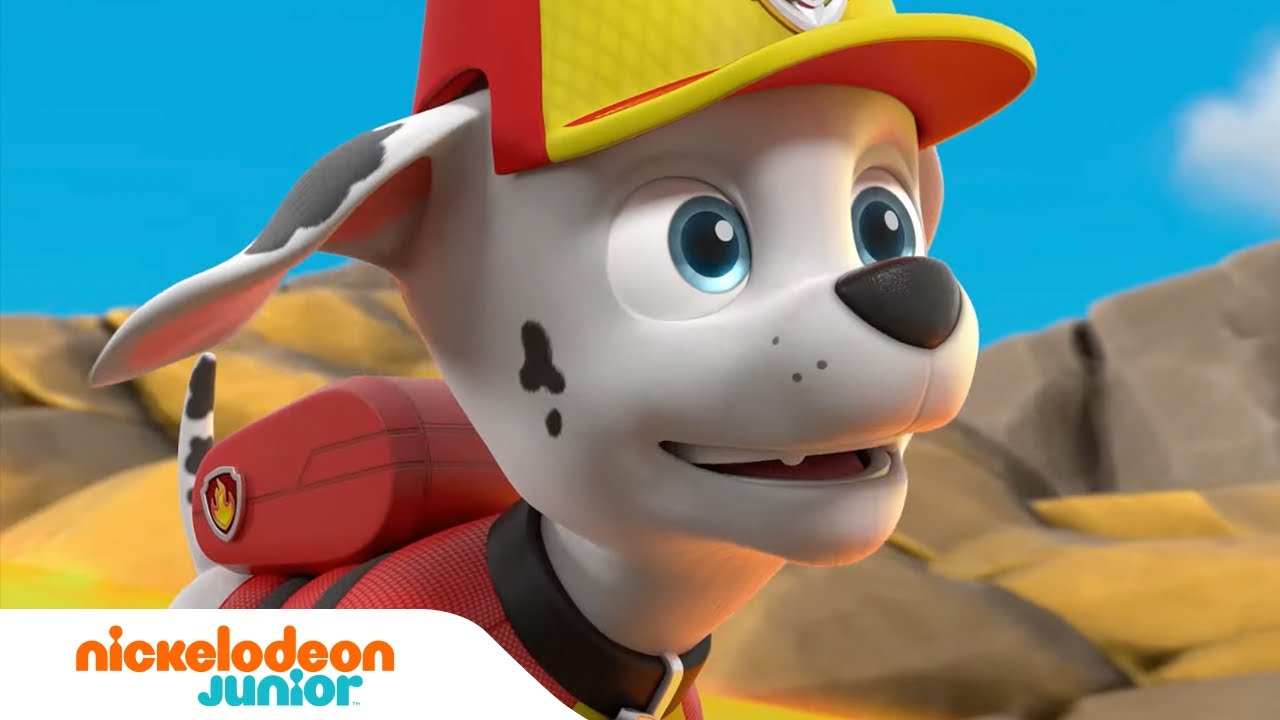 Paw Patrol : La Pat' Patrouille, Les chiots sauvent un bus scolaire !