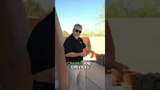 Pest Control tips for Arizona Homeowners 🌵 #shorts #arizona #pestcontroltips #homeownertips Profile