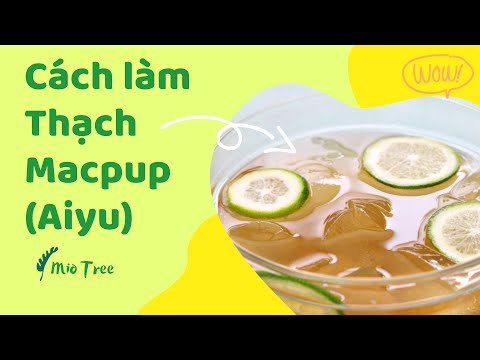 CÁCH LÀM THẠCH MACPUP - THẠCH AIYU ĐÀI LOAN | Miotree_xanhproducts CÁCH LÀM THẠCH MACPUP - THẠCH AIYU ĐÀI LOAN | Miotree_xanhproducts