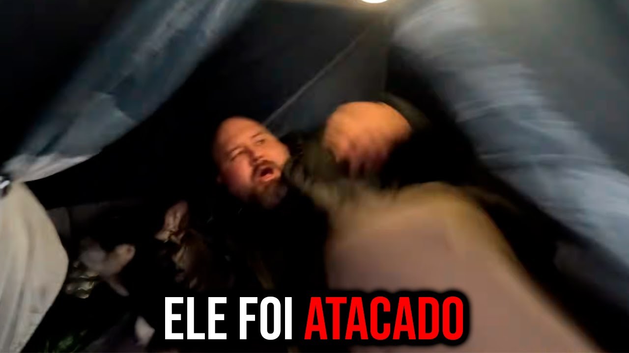 ENCONTROS BIZARROS EM FLORESTAS...