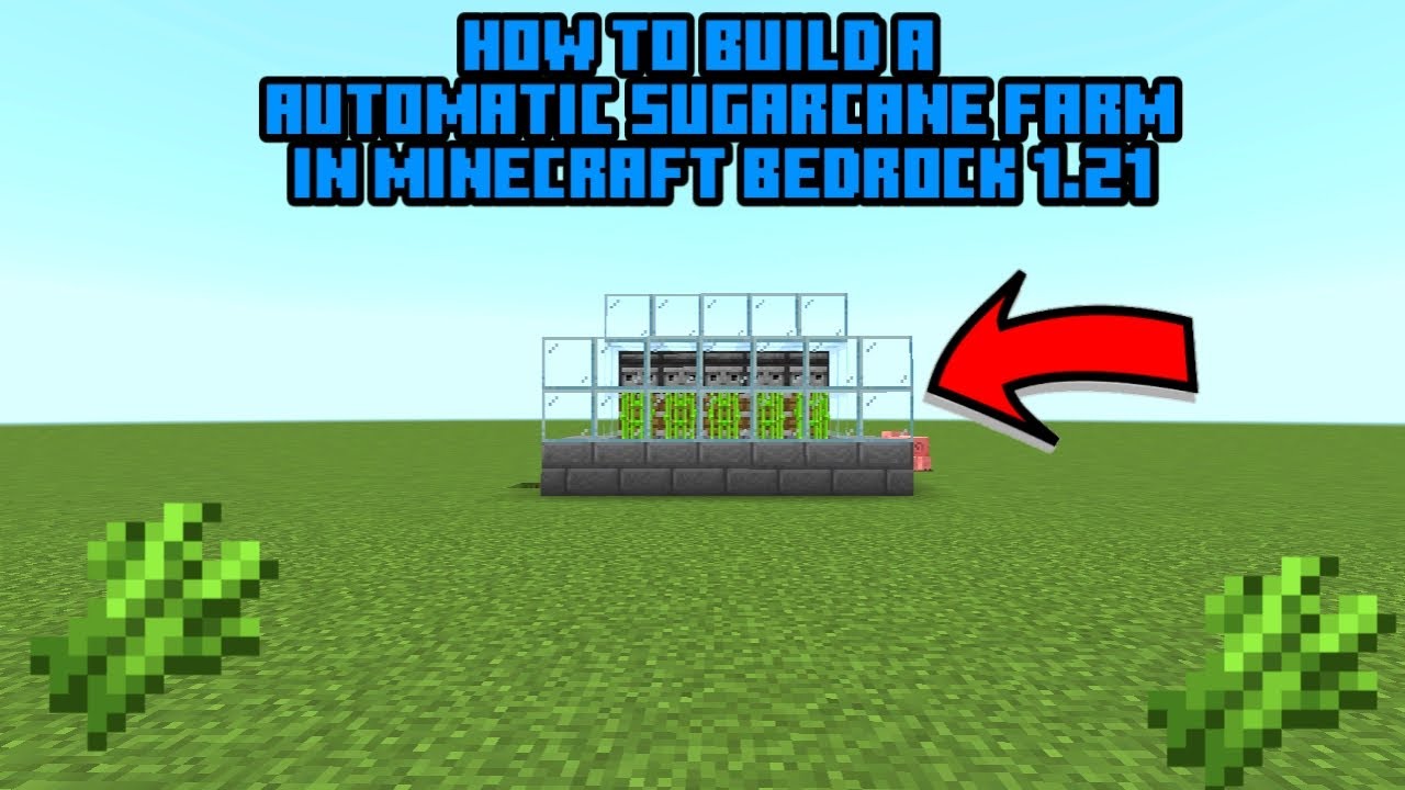 how to build a automatic sugarcane farm in minecraft bedrock 1.21 - YouTube