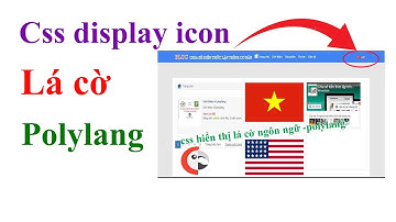 Hướng dẫn css hiển thị lá cờ ngôn ngữ với polylang | dandev