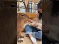 カピパラカフェ