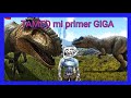 🔥TAMEO un GIGA GIGANOTOSAURUS en ARK, domesticación Giga
