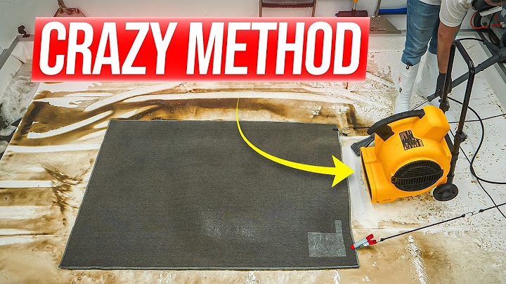 You’ve NEVER Seen a Rug Cleaned Like THIS Before! CRAZY Cleaning Method