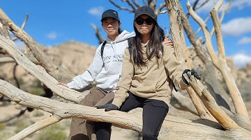 Spring break at Joshua Tree 2024