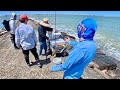 Catching highly prized fish that everybody loves s7 e66