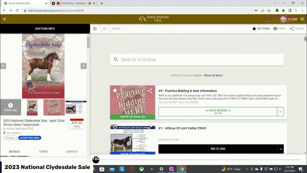 2023 National Clydesdale Sale Springfield, IL YouTube