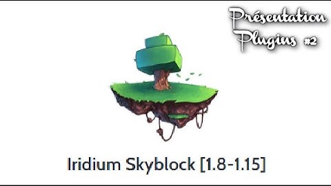 Présentation Plugins #2 | Iridium Skyblock [GRATUIT]