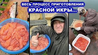 КРАСНАЯ ИКРА - ВЕСЬ ПРОЦЕСС ПРИГОТОВЛЕНИЯ / РЫБАЛКА НА КАМЧАТКЕ 2023