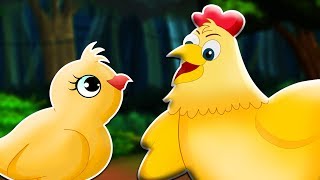 En klok kyckling -  Sagor för barn - Animation
