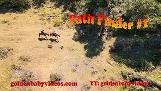 Golden Retriever  Path Finder #1