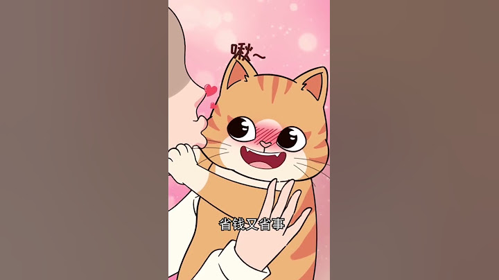 新手适合养什么猫，我劝你养这几种，［猫咪知识］有猫真好