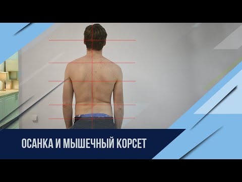 Мышцы как источник здоровья и долголетия