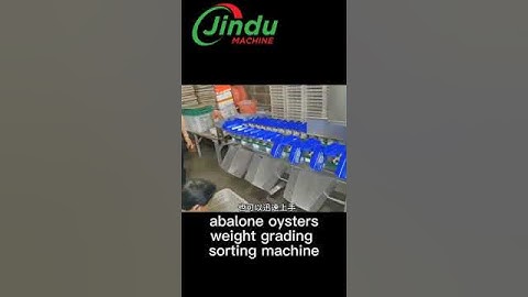 Revolutionize Your SEAFOOD Business with This Oyster Sorting Machine!