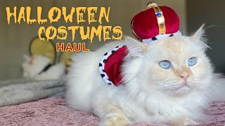 Adorable Cat Costume Haul + Try On | Halloween 2021 by Pearl's Ragdolls 5,556 views 2 years ago 8 minutes, 36 seconds