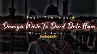 Kya batau ki kya madina hai naat (slow reverb)