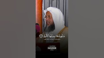 تلاوة بديعة ومؤثرة - الشيخ محمد أيوب رحمه الله 🤍🎧 #قرآن #اكسبلور #quran