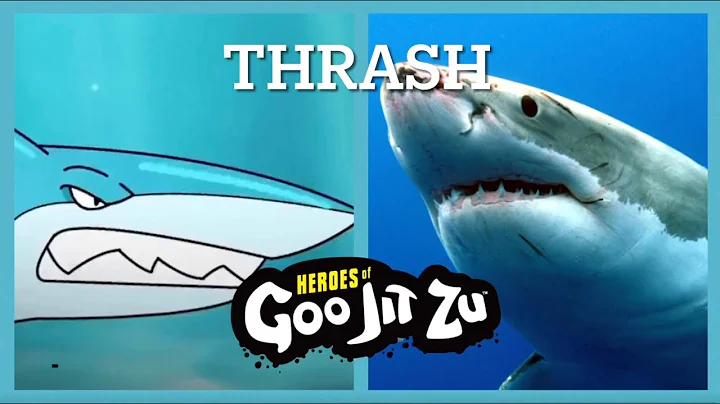 Animal Form VS Real Life [Heroes Of Goo Jit Zu]