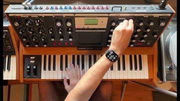 Moog Voyager improvisation