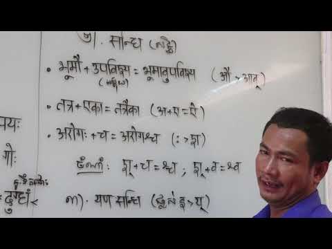 Video: Con chó này mặc một bộ đồ rẻ và bán xe đã qua sử dụng có thể có tất cả tiền của chúng tôi