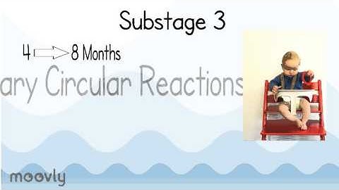 Sensorimotor Stage - 6 Substages