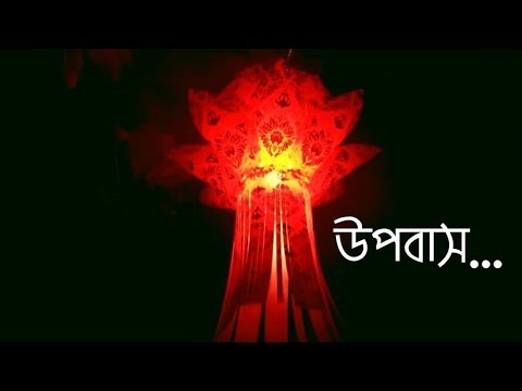 ভিডিও: অপরিহার্য তত্ত্ব কি?