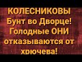 Семья Колесниковых/Новости из Дворца.