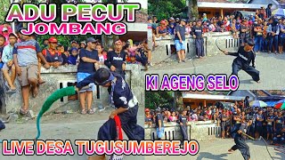 ATRAKSI ADU PECUT JOMBANG‼️ BANTENGAN KI AGENG SELO‼️ LIVE DESA TUGU SUMBEREJO