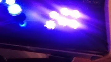 Trinitys Button Led Setup