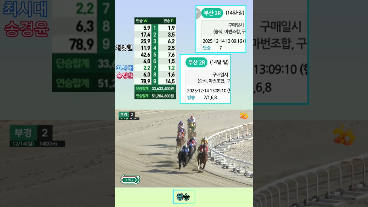 [경마] 최시대 정상궤도에 진입!