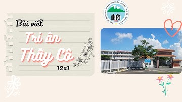 Video Bài Viết Tri Ân Thầy Cô  20/11 (animation text video)