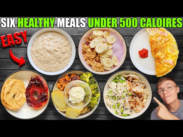 500 calorie high protein meals