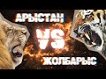 АРЫСТАН VS ЖОЛБАРЫС. КІМ МЫҚТЫРАҚ?