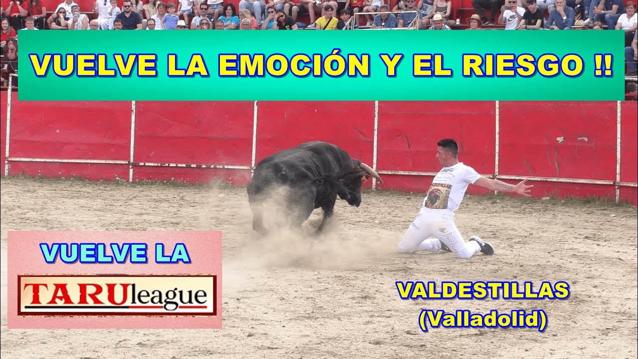 Valdestillas (Va). Concurso de Cortes 