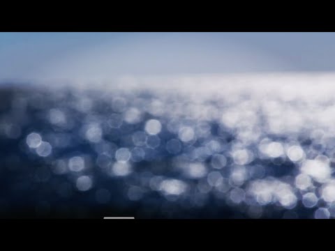 Blue Bijou - The Stranger Lyrics Video -  justice -  what about the migrants and human rights ?