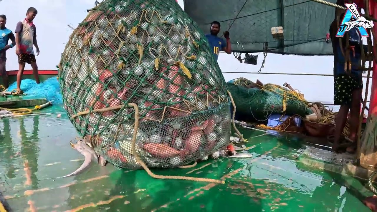 Amazing big nets catch hundreds of tons of herring on the modern boat -  Biggest Fishing Net 