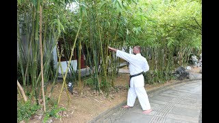 Goju Ryu training at home 6. Jumbi Undo. Saifa kata, in a limited area.  Sensei Aleksandr Grib