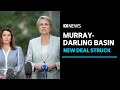 Government strikes Murray-Darling Basin deal with Greens | ABC News