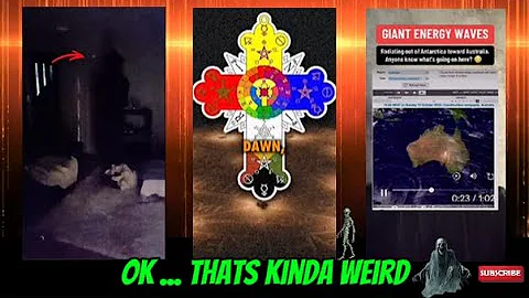 weird web wonders 449