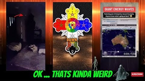 weird web wonders 449