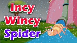 Incy Wincy Spider |  Nursery Rhymes Songs | English Nursery Rhyme with Lyrics