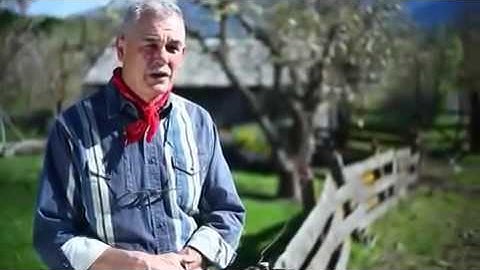 Work Sharp Knife and Tool Sharpener (WSKTS) - Demo